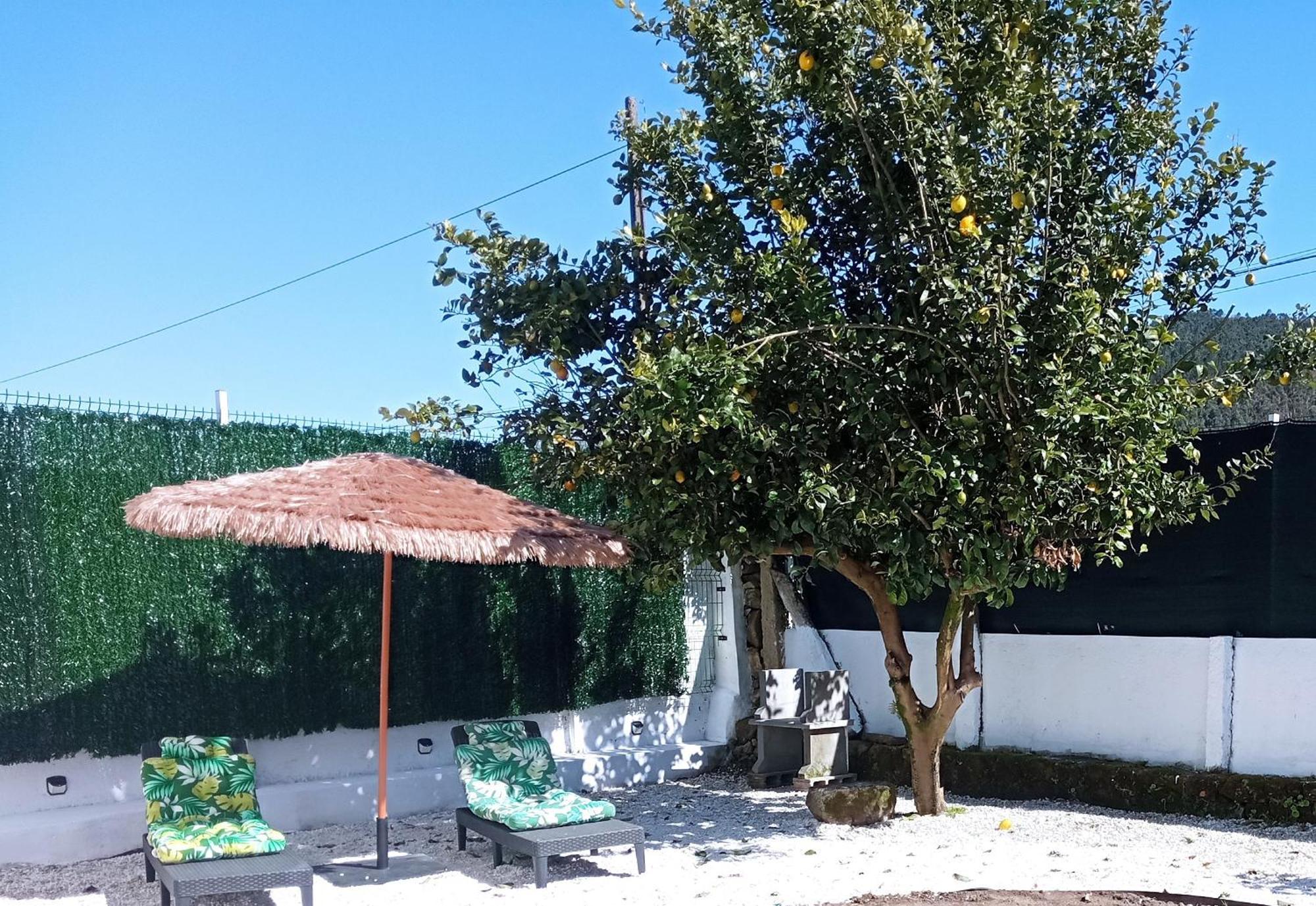 Casa Amelia 1ªp A 50 M Camino De Santiago Villa Padrón Екстериор снимка
