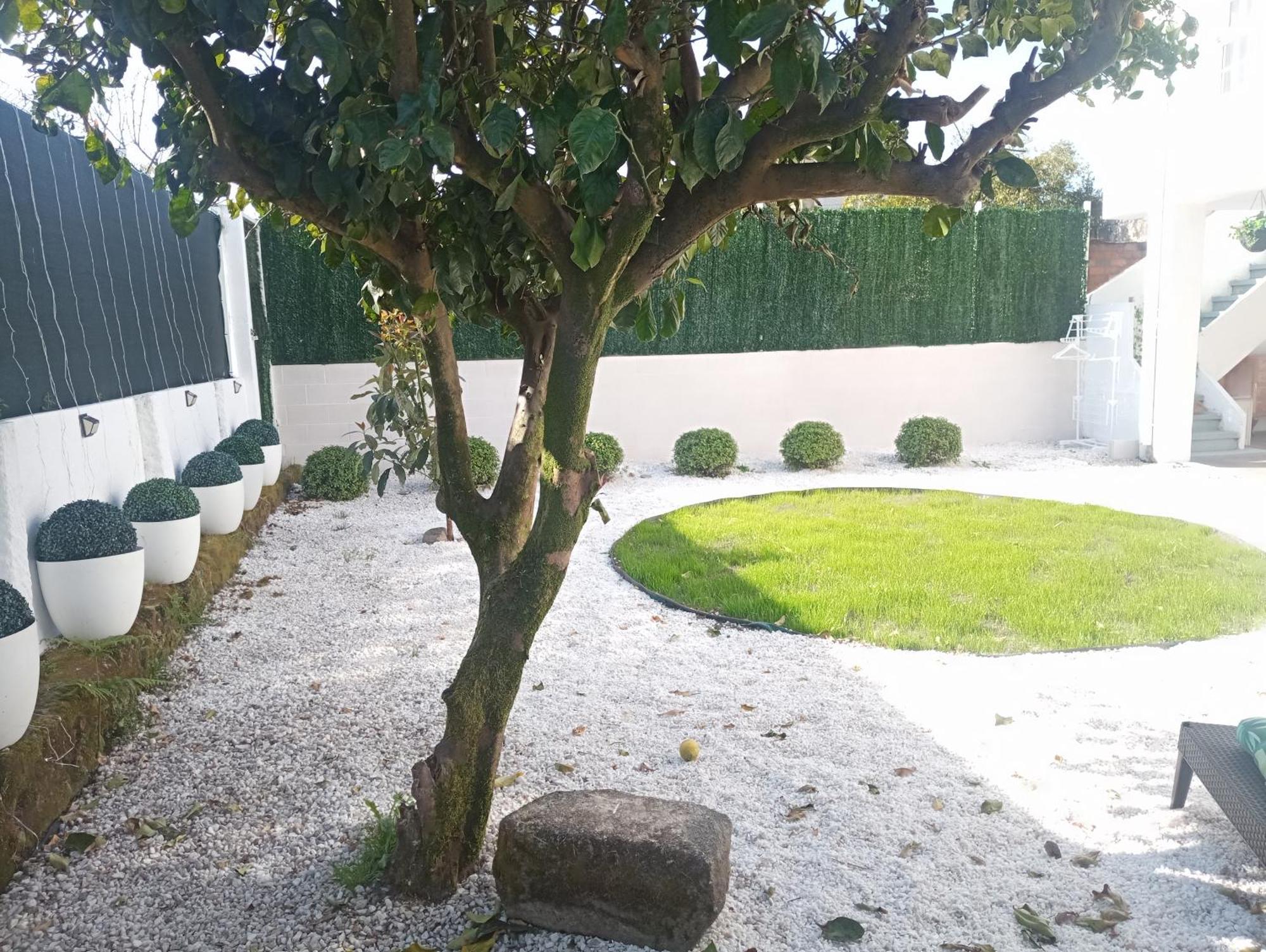Casa Amelia 1ªp A 50 M Camino De Santiago Villa Padrón Стая снимка